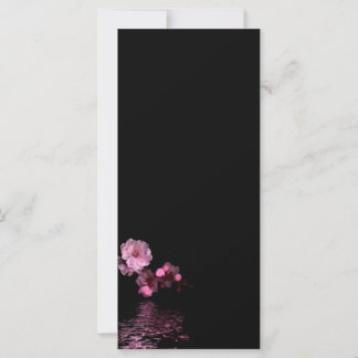 cherry blossom rackcard