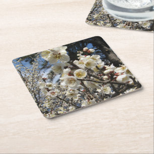 Cherry Blossom / Sakura / サクラ(桜) Square Paper Coaster