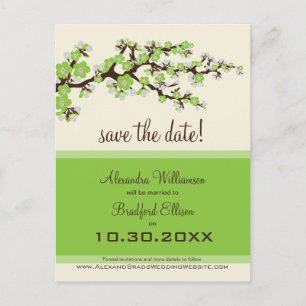Cherry Blossom Save the Date Postcard (green)