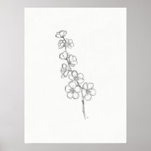Cherry Blossom Sketch Print