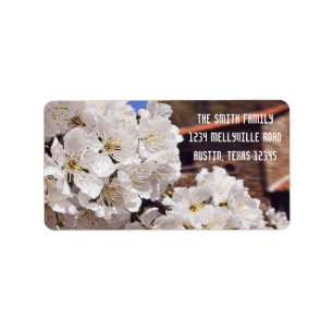 Cherry Blossom. Spring. Label
