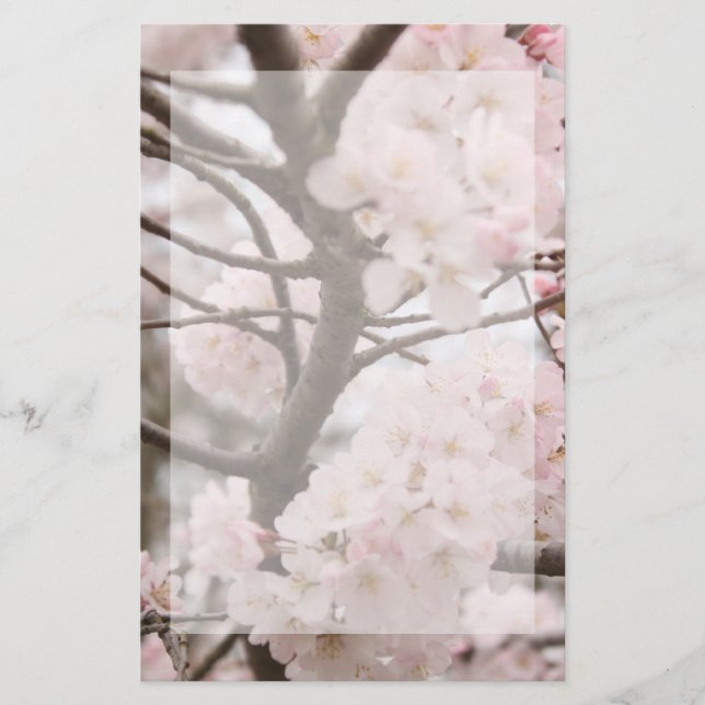 Cherry Blossom Stationery (Front)