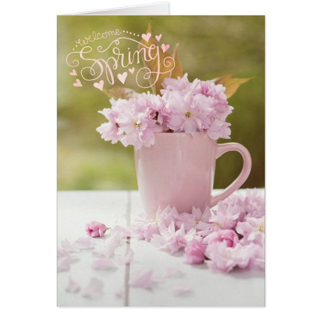 Cherry Blossom Stilllife Spring Text (Front)