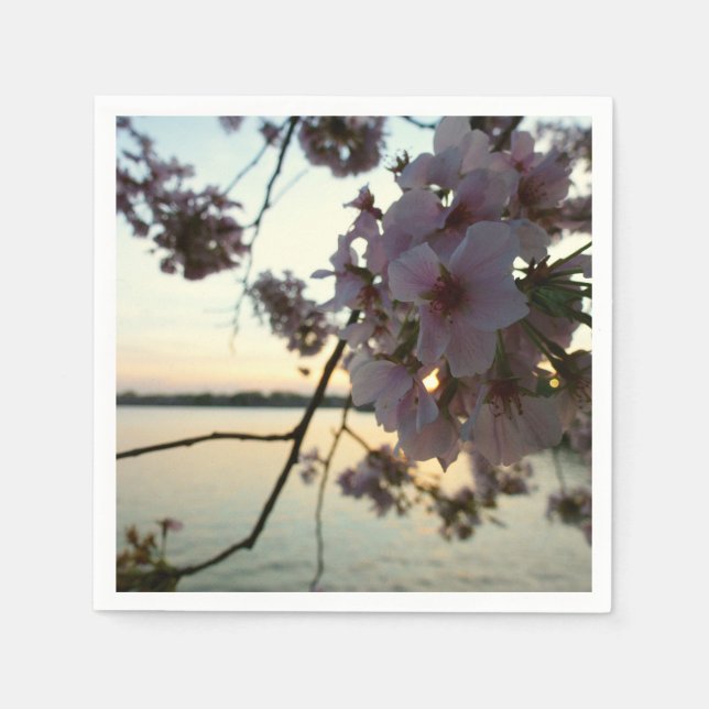 Cherry Blossom Sunset in Washington DC Napkin (Front)