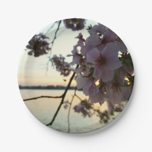 Cherry Blossom Sunset in Washington DC Paper Plate