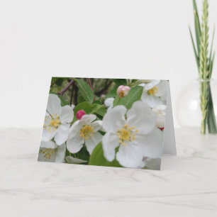 Cherry Blossom Surprise Folded Thank You Card