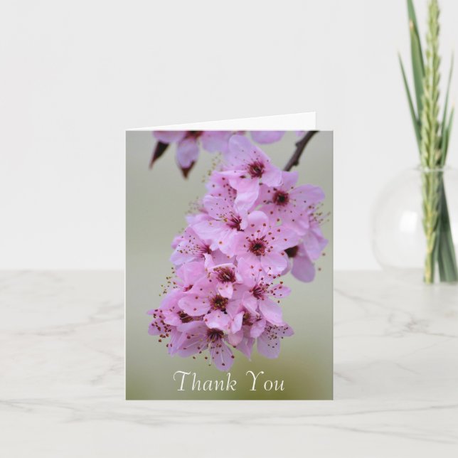 Cherry Blossom Thank You Card (Front)
