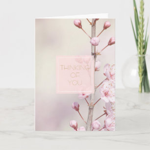 Cherry Blossom Thinking of you (my photography) Card