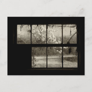 Cherry Blossom through an Old Barn Window Postcard