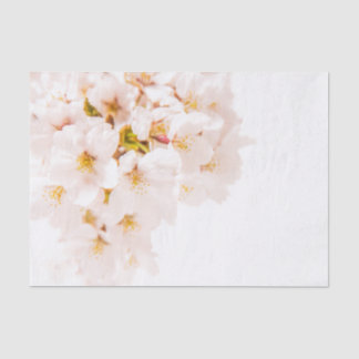 Cherry Blossom Tissue Paper