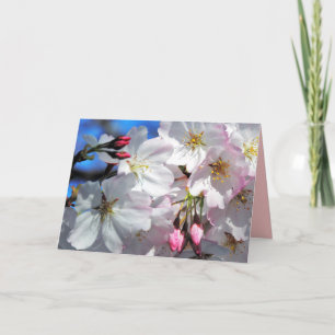 Cherry Blossom Tree Card