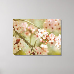 Cherry Blossom Tree Floral Canvas Print