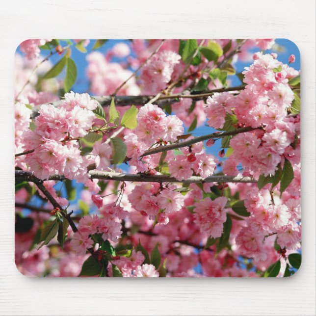 Cherry Blossom Tree Mouse Pad (Front)