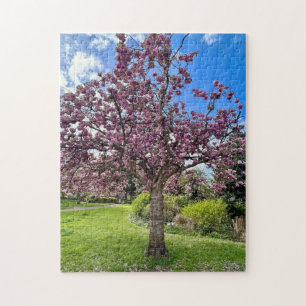Cherry Blossom Tree Park in Brighton Spring time Jigsaw Puzzle