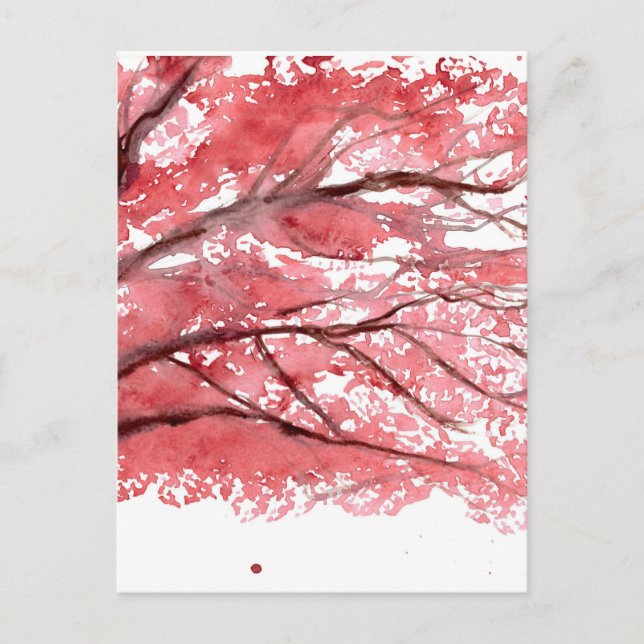 Cherry blossom tree postcard (Front)