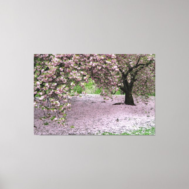 cherry blossom tree wrapped canvas (Front)