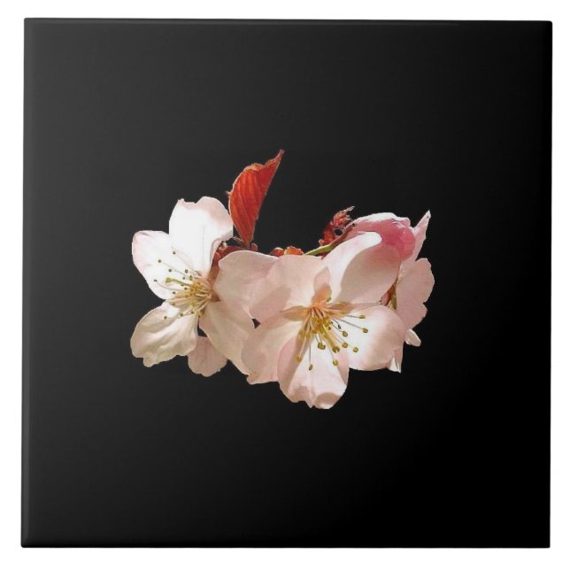 Cherry Blossom Trivet (Front)