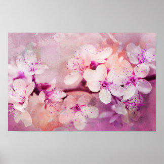 Cherry Blossom Watercolor Art Poster