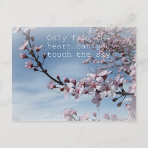 Cherry Blossom Zen Flowering Tree Post Card