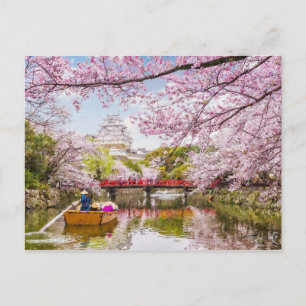 Cherry Blossom Zen Garden Sakura Painting Postcard