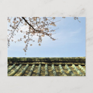 Cherry Blossom: Zojoji Temple, Tokyo, Japan Postca Postcard