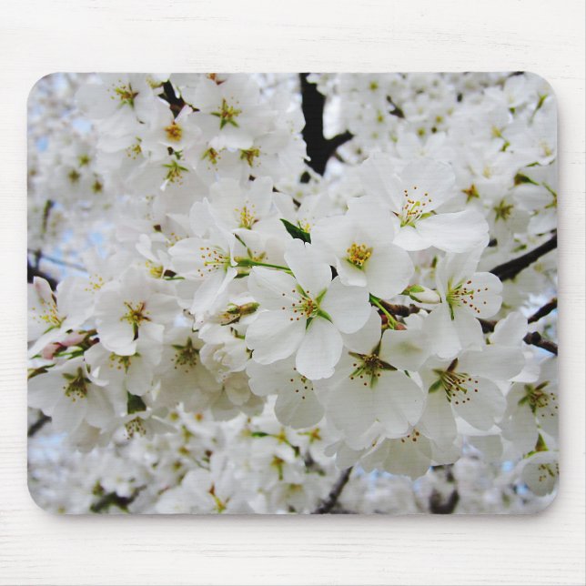 Cherry Blossoms 3 Mouse Pad (Front)