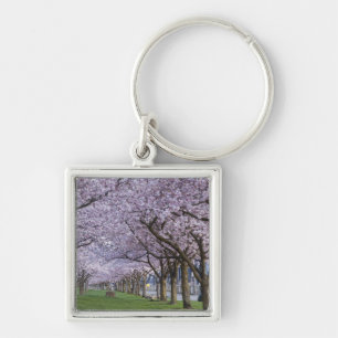 Cherry blossoms along Willamette river, USA Key Ring