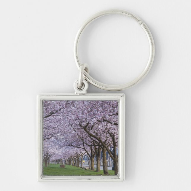Cherry blossoms along Willamette river, USA Key Ring (Front)