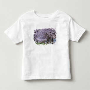 Cherry blossoms along Willamette river, USA Toddler T-Shirt