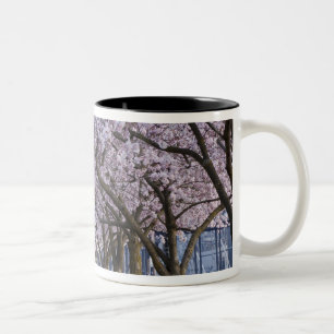 Cherry blossoms along Willamette river, USA Two-Tone Coffee Mug