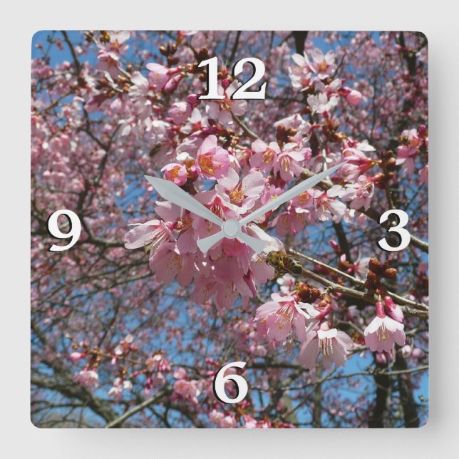 Cherry Blossoms and Bee Pink Spring Flowers Square Wall Clock (Front)