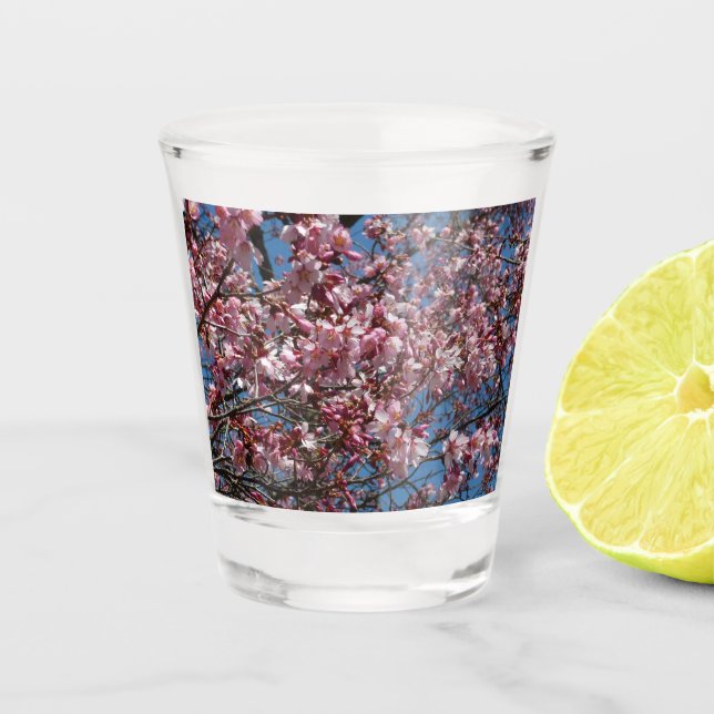 Cherry Blossoms and Blue Sky Spring Floral Shot Glass (Front)