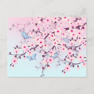 Cherry Blossoms and Butterflies Postcard