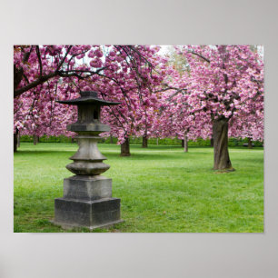 Cherry Blossoms and Pagoda Poster Paper (Matte)