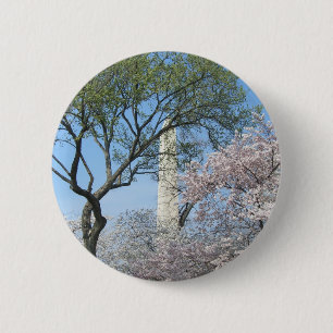 Cherry Blossoms and the Washington Monument in DC 6 Cm Round Badge