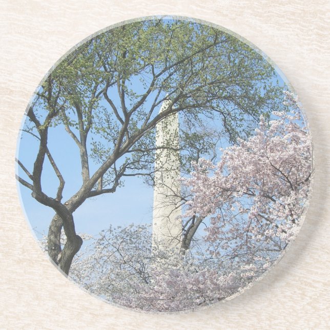 Cherry Blossoms and the Washington Monument in DC Coaster (Front)