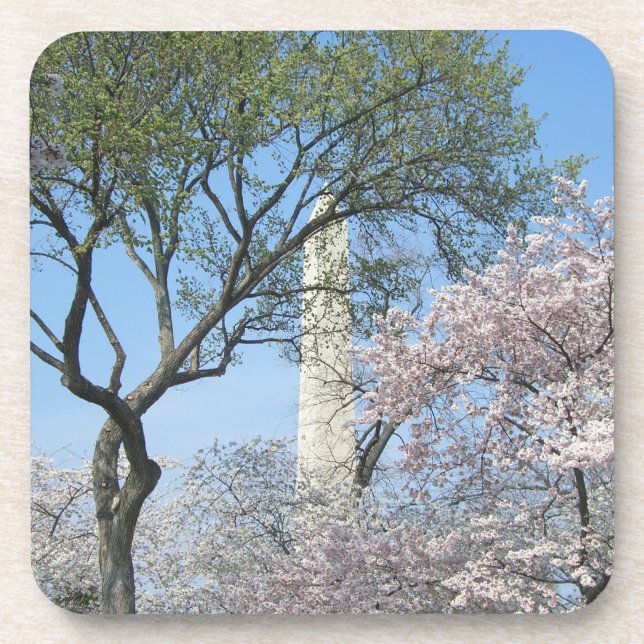 Cherry Blossoms and the Washington Monument in DC Coaster (Front)