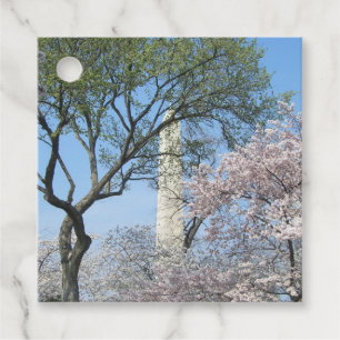Cherry Blossoms and the Washington Monument in DC Favour Tags
