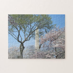 Cherry Blossoms and the Washington Monument in DC Jigsaw Puzzle