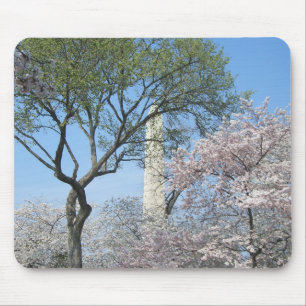 Cherry Blossoms and the Washington Monument in DC Mouse Pad