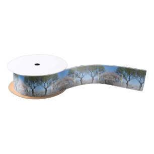 Cherry Blossoms and the Washington Monument Satin Ribbon