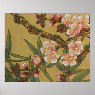 Cherry Blossoms Asian Japanese Art Poster