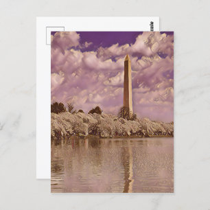 Cherry Blossoms at the Washington Monument  Postcard