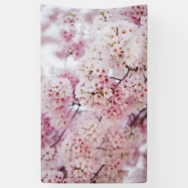 Cherry Blossoms Banner (Vertical)