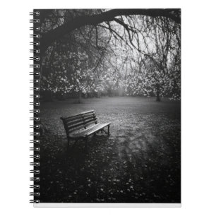 Cherry Blossoms Bench Sunrise Notebook