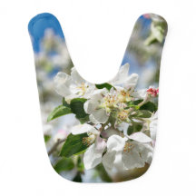 Cherry blossoms.