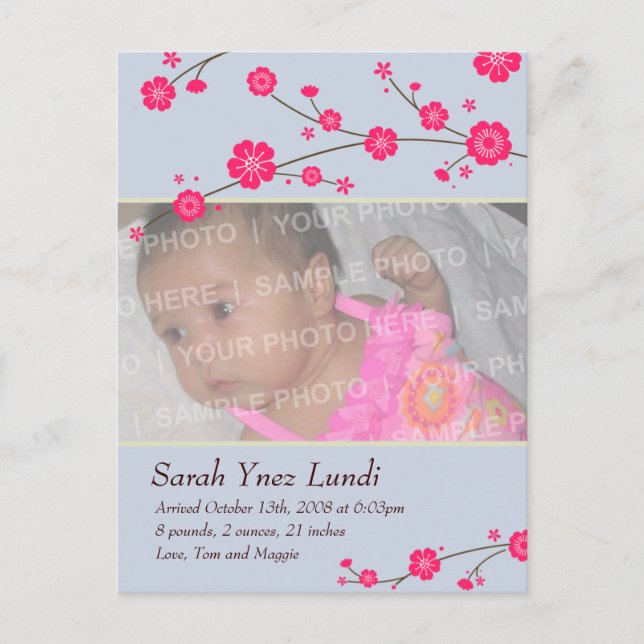 Cherry Blossoms Birth Announcement Postcard (Front)