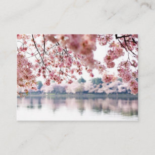 Cherry Blossoms Business Card
