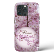 Cherry Blossoms 