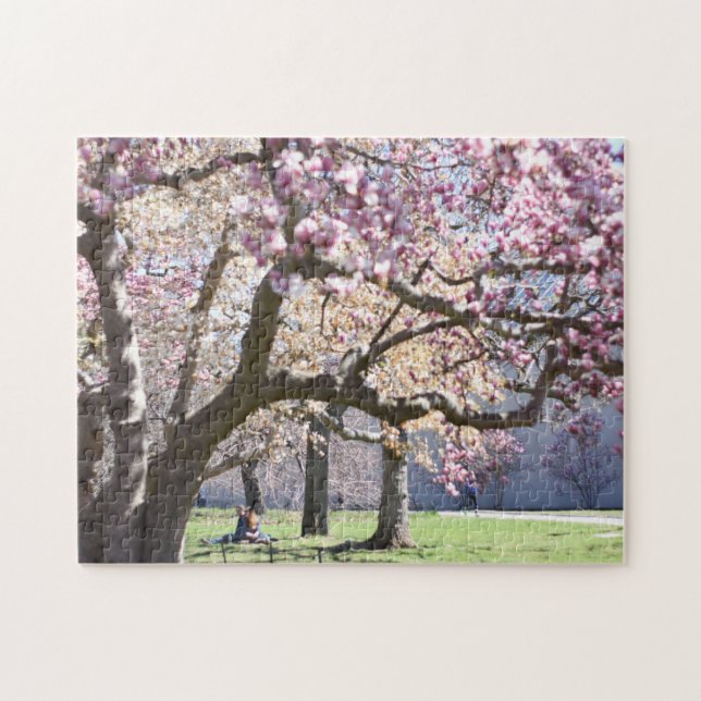 Cherry Blossoms Central Park New York City NYC Jigsaw Puzzle (Horizontal)